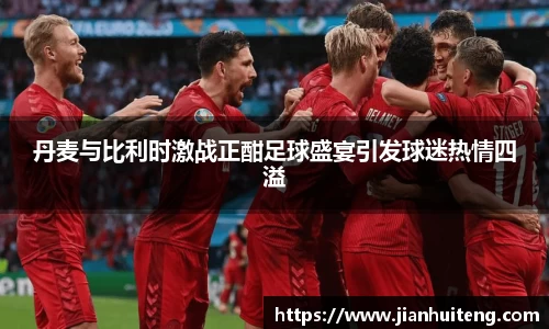 丹麦与比利时激战正酣足球盛宴引发球迷热情四溢